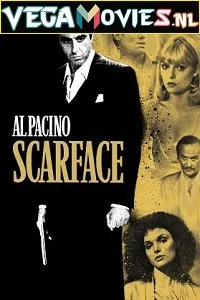 Scarface (1983) Dual Audio {Hindi-English} 480p - 720p - 1080p