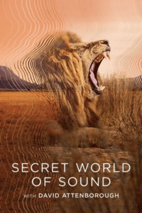 Secret World of Sound with David Attenborough – S01 (2024) Dual Audio {Hindi-English} WEB-Series 720p &amp; 1080p WEB-DL