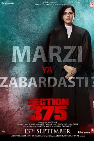 Section 375 (2019) Hindi Full Movie 480p - 720p - 1080p