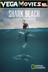 Shark Beach with Chris Hemsworth (2021) Dual Audio {Hindi-English} 720p HDRip