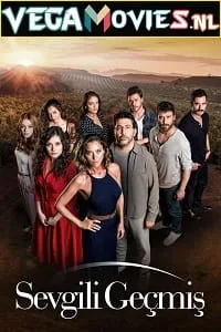 Sisterhood (2019) Season 1 [S01E24 Added] Dual Audio {Hindi-Turkish} Disney+ Hotstar 720p WEB-DL