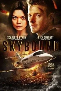Skybound (2017) Dual Audio {Hindi-English} 480p - 720p BluRay