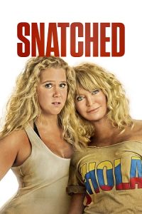 Snatched (2017) Dual Audio {Hindi-English} BluRay 480p - 720p