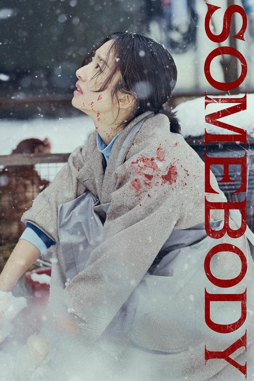 Somebody (2025) Dual Audio {Hindi-Korean} Amazon WEB-DL 480p - 720p - 1080p