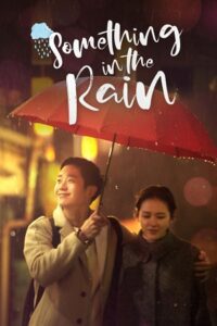 Something in the Rain (Season 1) Dual Audio {Hindi-Korean} Netflix Original WEB Series 480p - 720p - 1080p WEB-DL