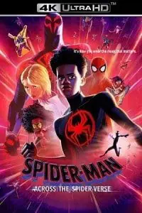Spider-Man: Across the Spider-Verse (2023) BluRay Dual Audio {Hindi-English} 480p - 720p - 1080p - 2160p 4K SDR