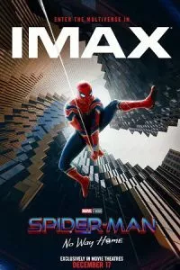 Spider-Man: No Way Home – iMAX Version (2022) Dual Audio {Hindi-English} 480p - 720p - 1080p