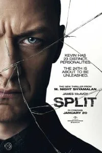 Split (2016) Dual Audio {Hindi-English} WEB-DL 480p - 720p - 1080p
