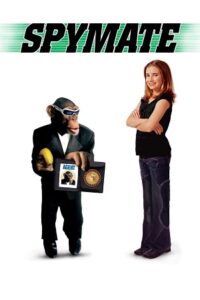 Spymate (2003) Dual Audio [Hindi + English] WeB-DL 480p - 720p - 1080p
