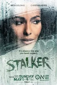 Stalker (2022) WEB-DL {English With Subtitles} Full Movie 480p - 720p - 1080p