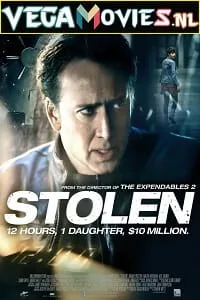 Stolen (2012) Dual Audio {Hindi-English} 480p - 720p - 1080p