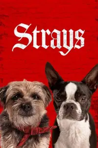 Strays (2023) Dual Audio [Hindi + English] BluRay 480p - 720p - 1080p