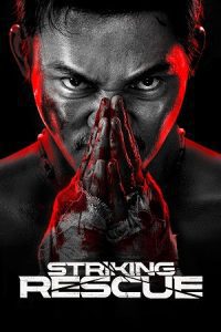 Striking Rescue (2024) BluRay Dual Audio {Hindi-Chinese} 480p - 720p - 1080p