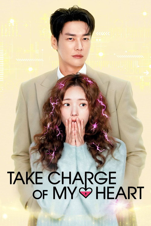 Take Charge of My Heart (Season 1) Dual Audio {Hindi-Korean} K-Drama Series 480p 720p & 1080p WEB-DL