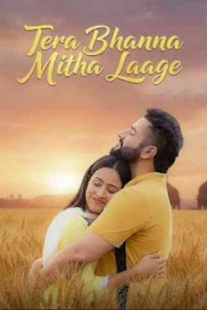 Tera Bhanna Mitha Laage (2025) Punjabi Full Movie 480p - 720p - 1080p WEB-DL