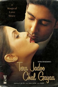 Tera Jadoo Chal Gayaa (2000) HDRip Hindi Full Movie 480p - 720p - 1080p