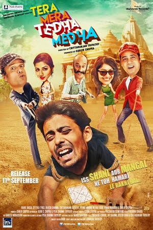 Tera Mera Tedha Medha (2015) Hindi Full Movie WEB-DL 480p - 720p - 1080p