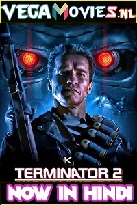 Terminator 2: Judgment Day (1991) Dual Audio {Hindi-English} 480p - 720p - 1080p