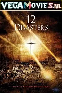 The 12 Disasters of Christmas (2012) Dual Audio {Hindi-English} 480p - 720p
