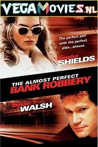 The Almost Perfect Bank Robbery (1997) Dual Audio [Hindi-English] WeB-DL 480p - 720p