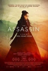 The Assassin (2015) Dual Audio {Hindi-English} 480p - 720p
