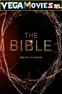 The Bible (2013) Season 1 Dual Audio {Hindi-English} 720p WEB-DL