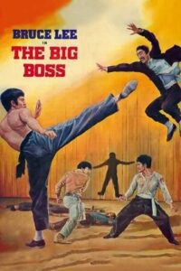 The Big Boss (1971) BluRay Dual Audio {Hindi-English} 480p - 720p - 1080p Full-Movie