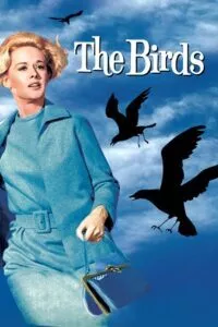 The Birds (1963) Dual Audio {Hindi-English} 480p - 720p - 1080p