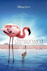 The Crimson Wing Mystery of the Flamingos (2008) Dual Audio {Hindi-English} 480p - 720p