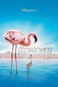 The Crimson Wing (2008) Dual Audio {Hindi-English} 480p - 720p