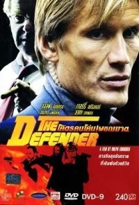 The Defender (2004) Dual Audio {Hindi-English} 480p - 720p