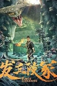 The Dragon’s Tomb (2024) WEB-DL Dual Audio {Hindi-Chinese} 480p - 720p - 1080p