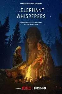 The Elephant Whisperers (2022) WEB-DL Dual Audio {Hindi-English} 480p - 720p - 1080p