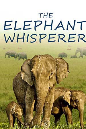 The Elephant Whisperers (2022) WEB-DL Dual Audio {Hindi + English} 480p - 720p - 1080p - 2160p 4K