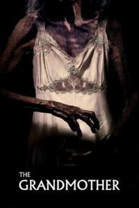 The Grandmother (2019) Dual Audio {Hindi-English} BluRay 480p - 720p - 1080p