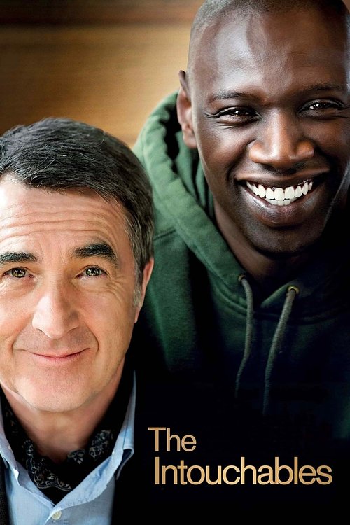 The Intouchables (2011) Blu-Ray Multi Audio {Hindi-English-French} 480p - 720p - 1080p
