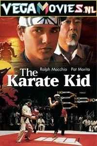 The Karate Kid (1984) Dual Audio {Hindi-English} 480p - 720p - 1080p