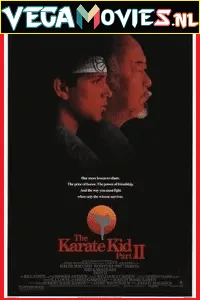 The Karate Kid Part 2 (1986) Dual Audio {Hindi-English} 480p - 720p - 1080p