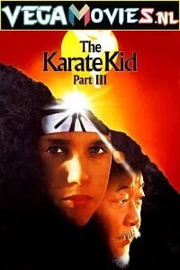 The Karate Kid Part 3 (1989) Dual Audio {Hindi-English} 480p - 720p - 1080p