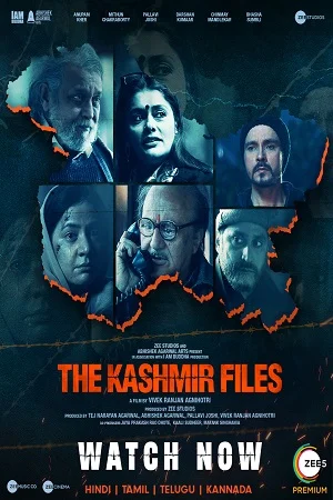 The Kashmir Files (2022) WEB-DL Hindi Full Movie 480p - 720p - 1080p