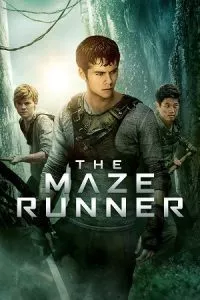 The Maze Runner (2014) BluRay Dual Audio {Hindi-English} 480p - 720p - 1080p