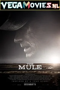 The Mule (2018) English With Subtitles 480p - 720p