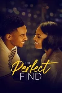 The Perfect Find (2023) Netflix Original Dual Audio {Hindi-English} 480p - 720p - 1080p WEB-DL