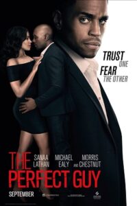 The Perfect Guy (2015) BluRay Dual Audio {Hindi-English} 480p - 720p - 1080p