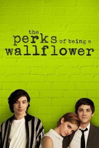 The Perks of Being a Wallflower (2012) Dual Audio {Hindi-English} BluRay 480p - 720p - 1080p
