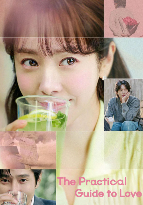 The Practical Guide to Love (Season 1) Dual Audio {Hindi-Korean} K-Drama Series 480p 720p & 1080p WEB-DL