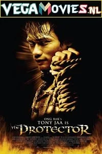The Protector (2005) Dual Audio {Hindi-English} 480p - 720p - 1080p