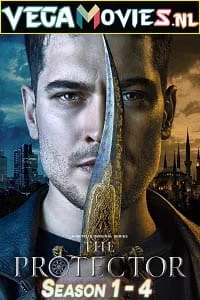 The Protector (Season 1 – 4) Hindi Dubbed Complete Netflix WEB Series 480p - 720p