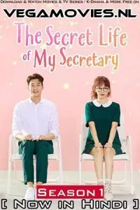 The Secret Life of My Secretary (Season 1) Hindi Dubbed Complete K-Drama Series 480p - 720p WEB-DL