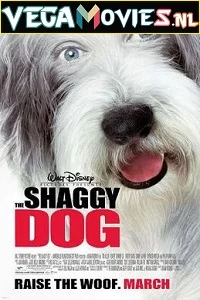The Shaggy Dog (2006) Dual Audio {Hindi-English} 480p - 720p